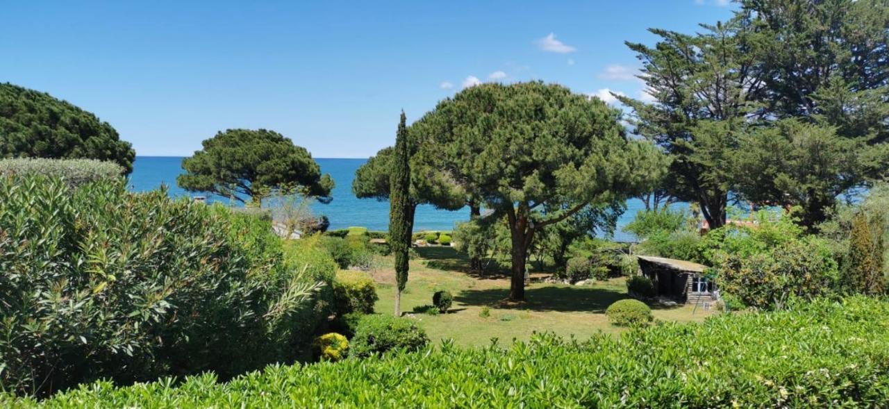 Villa I Merli Nous Contacter Avant Reservation Saint-Florent  Kültér fotó
